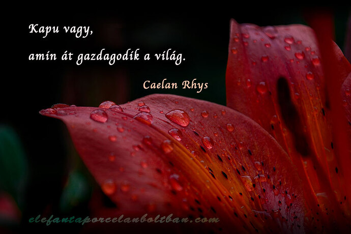 Világ kapuja