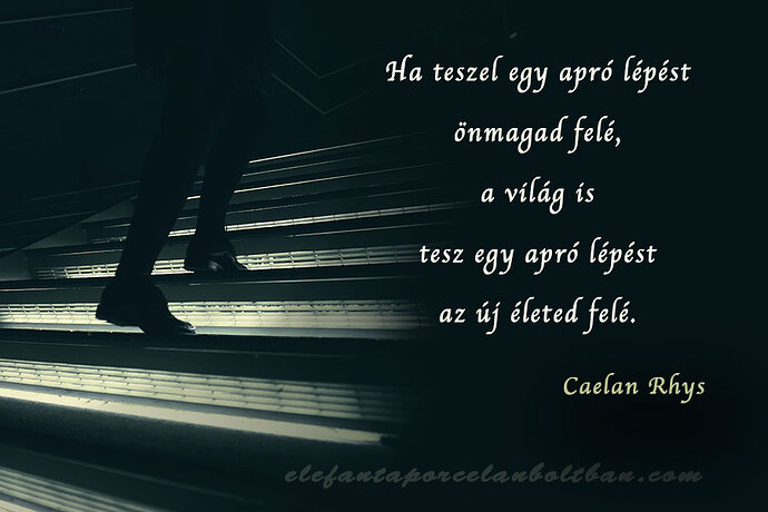 Új lépés, új élet