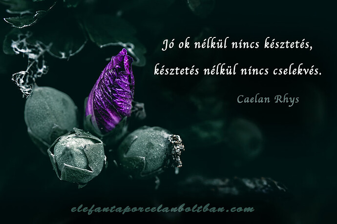 Minden tetted születése